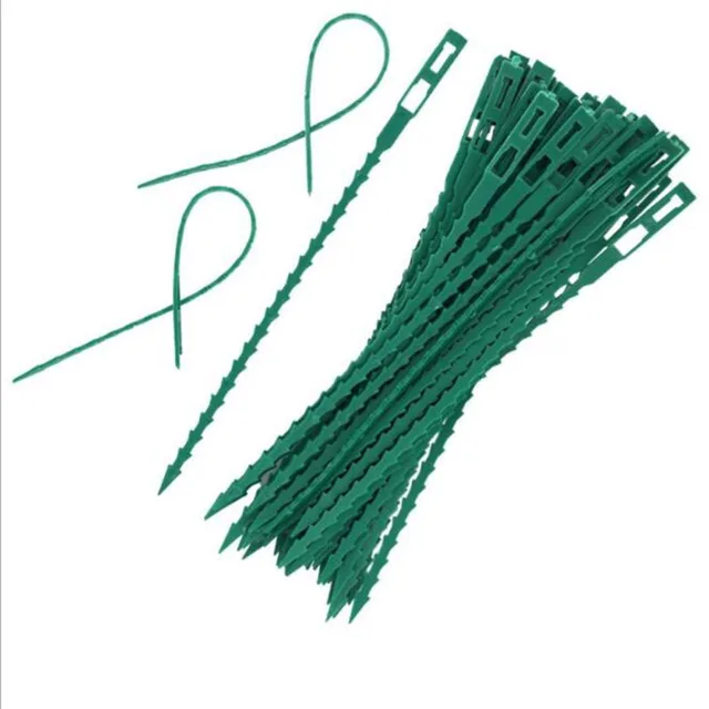 50Db Újrahasznosítható Fishbone Band Szerszámok Állítható Műanyag Növénykábelek Üvegházhatást Okozó Készletek Kerti Fa Hegymászó Tartóhoz - Image 3