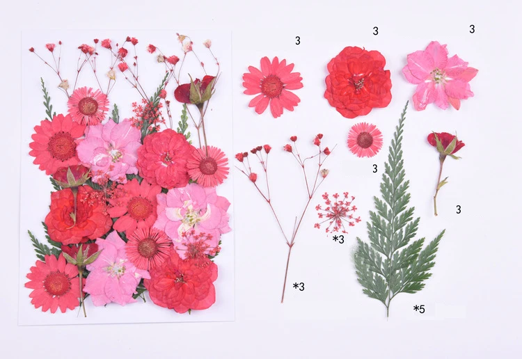 Маленькие сушеные цветы прессованные цветы DIY консервированные цветы эпоксидный телефон оболочки гербарий материал тисненый лицо лепесток макияж