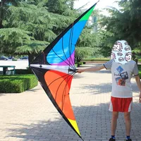 Outdoor Sport For Adults Power Stunt Kite Dual Line 1.8/2.4m Triangle Kite Good  Flying Toys With Handle And Line Sports Beach 1