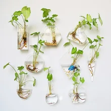 Креативная настенная стеклянная ваза на стену, Висячие емкости для гидропоники, вазы для цветов, украшения для цветов