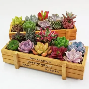 

Garden Plant pot decoration Wooden Multifunctional Storage Desk Box For Flowers Plants Potting Garden Home Decoration