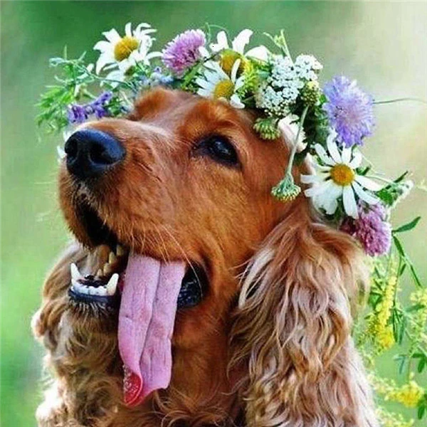 HUACAN 5D Diamond Painting Animal Full Drill Square Diamond Embroidery Dog Home Decoration Diamond Art Paints - Цвет: FA1-1903