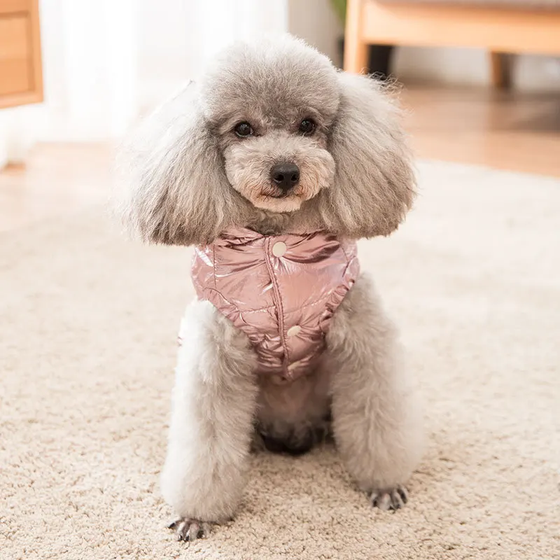 Winter Pet Dog Clothes Dogs Warm Down Jacket Coat Thickened Puppy Cat Clothing Cotton Coat For Little Medium Dogs Winter Supply