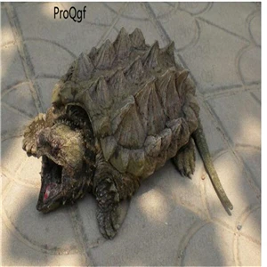 Ngryise 2 шт набор пламени - Цвет: macroclemys