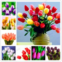 103 шт./пакет в форме тюльпана от flores Редкие бонсай растения, красивые тюльпаны в горшке, многолетнее на приусадебных участках, а также в форме тюльпана от завода