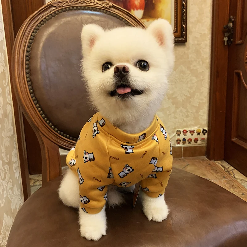 考拉圆领衫-姜黄7