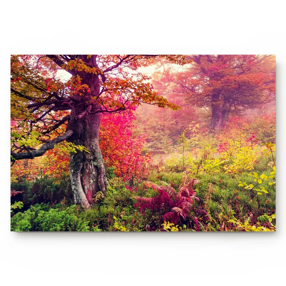 H4b3c757dbaac4b36ac8f4bd88316fa2dh