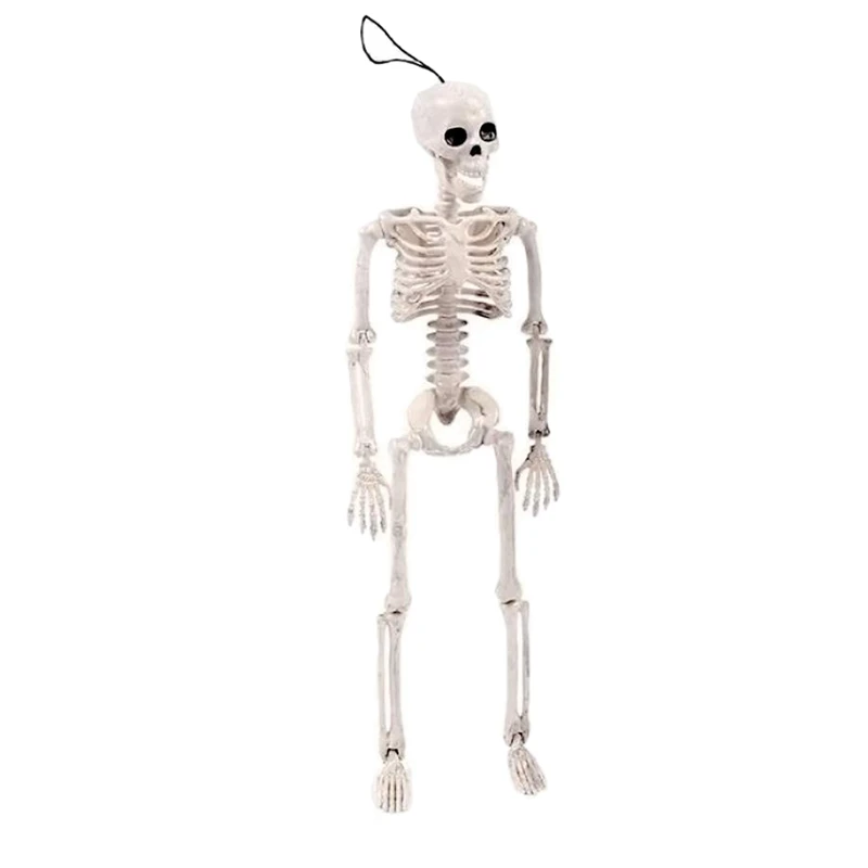 

16 Inches Model or Halloween Skeleton Toys Decoration Posable Skeleton Full Body Halloween Skeleton with Movable Joints Skeleton