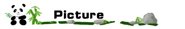 picture