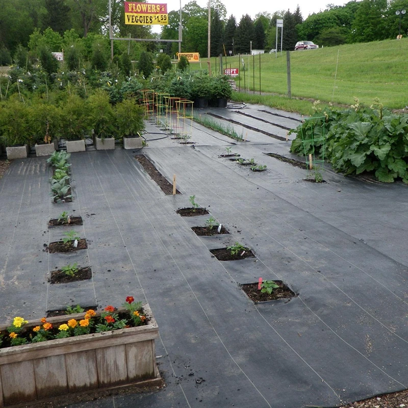 daninha Barreira Mat, Erva daninha Pano, Preto, Pomar Jardim, 2m de largura