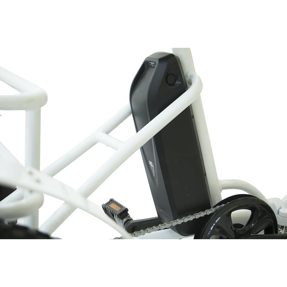 BTN electric trike dropshipping  (11)