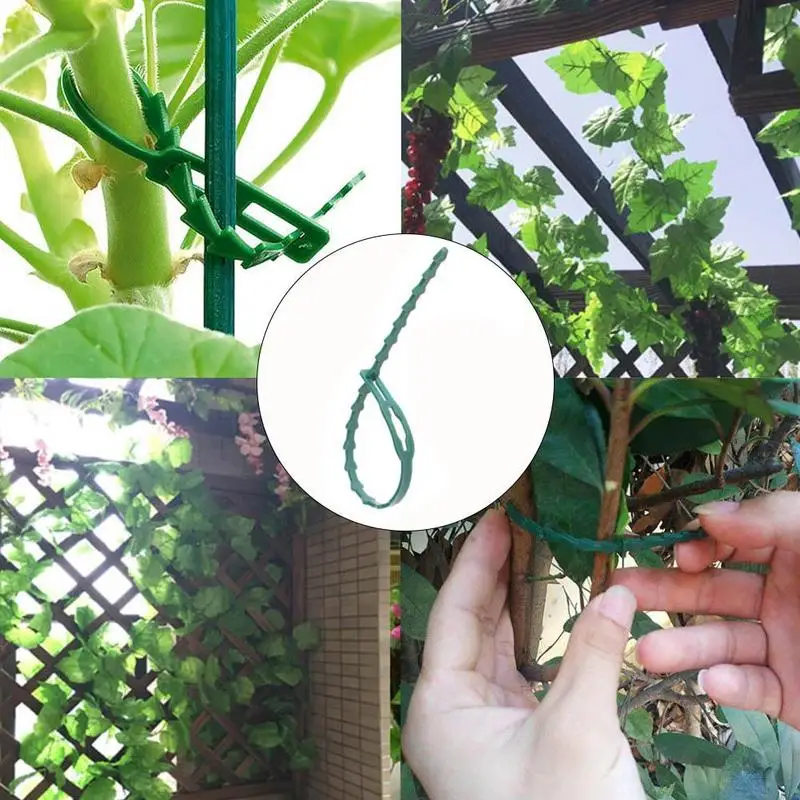 

30Pcs Reusable Garden Plastic Plant Cable Ties Adjustable Tree Climbing Support