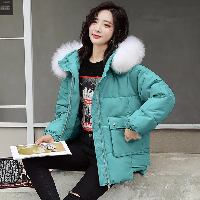 

Zipper Fly Short Elegant Simple Elegant Versatile 2019 Winter Cotton-padded Clothes