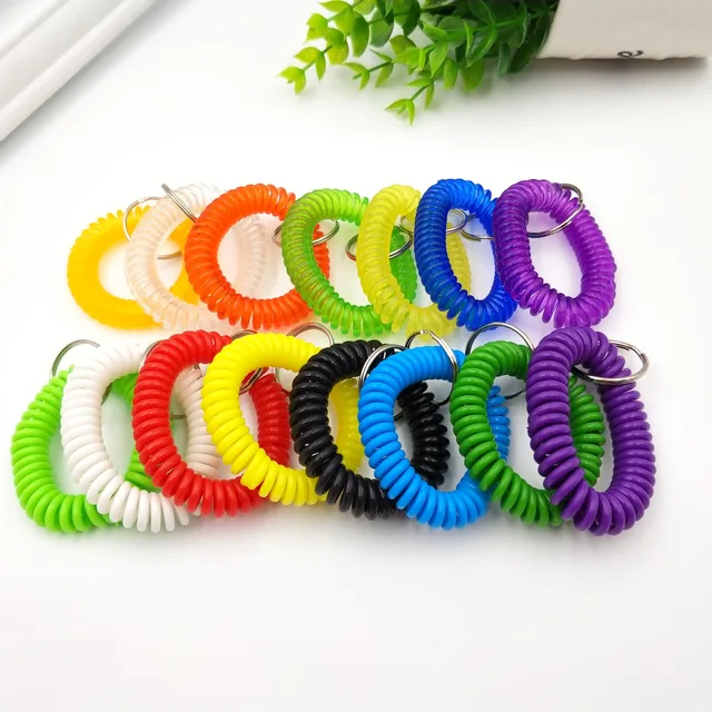 6pcs Spiral Keychain With Key Tags Key Ring Bracelet Spring Spiral