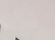 Monos de cuello en V con estampado para mujer, peleles de manga corta con botones de cintura elástica para primavera 2021