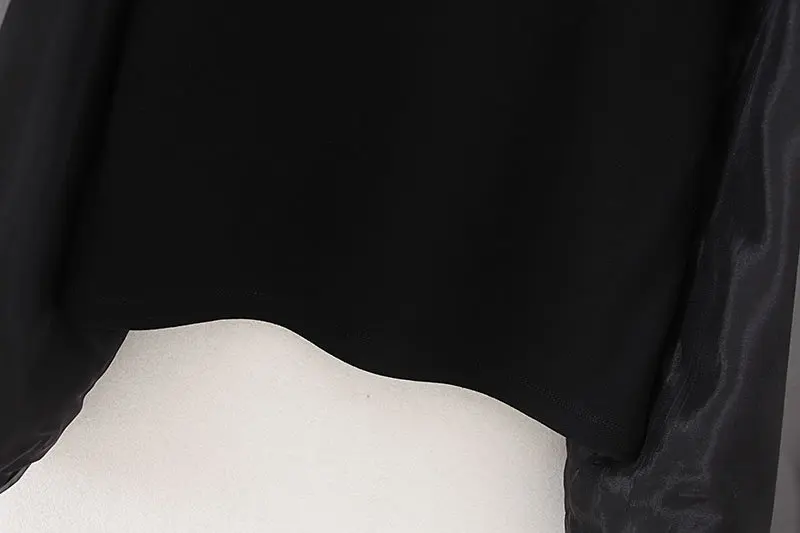 Новые женские модные прозрачные Лоскутные Повседневные черные свитера из органзы, женские осенние базовые толстовки с длинным рукавом, топы H101