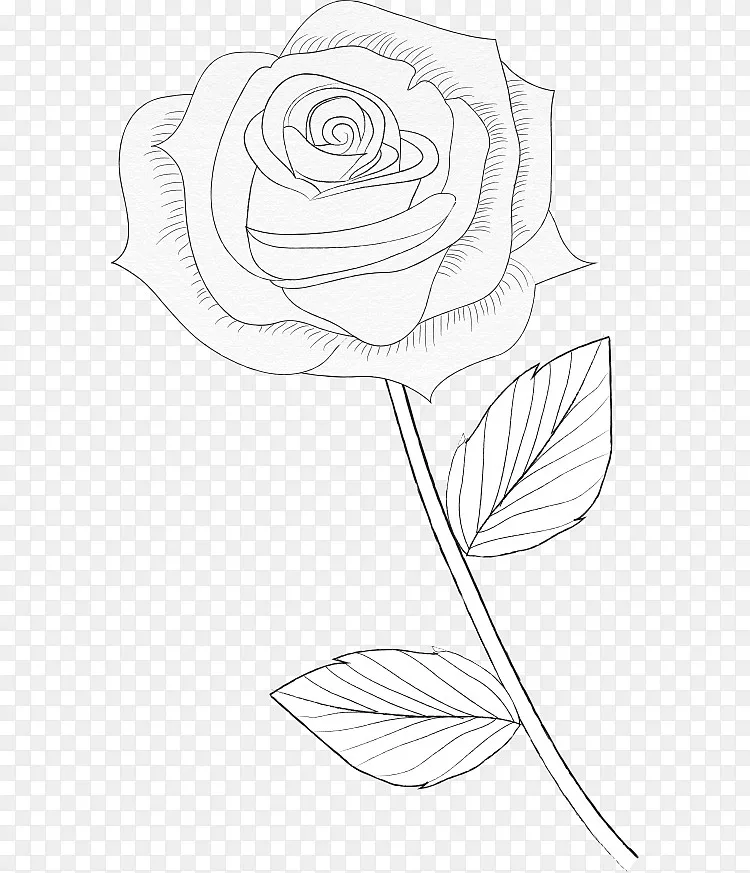 手绘玫瑰花图片素材png图片素材免费下载 图片编号ydxmxrej Pngbag素材网