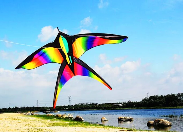 free shipping high quality rainbow bird kites with handle line flying toy airplane eagle kite ripstop nylon walk talk weifang 6