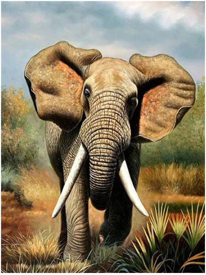 QQ截图20200622205439