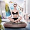 Lazy Mini Slimming Machine Vibration Massager Body Shaping Machine Slim Exercise Machine ► Photo 3/6