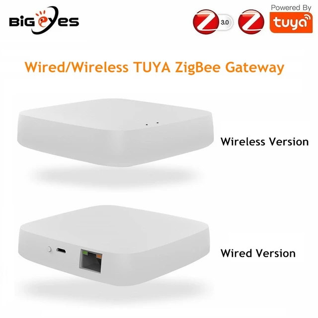 Tuya – passerelle Zigbee filaire sans fil pour maison intelligente, Hub,  télécommande, application Smart Life, Alexa, Google Home - AliExpress