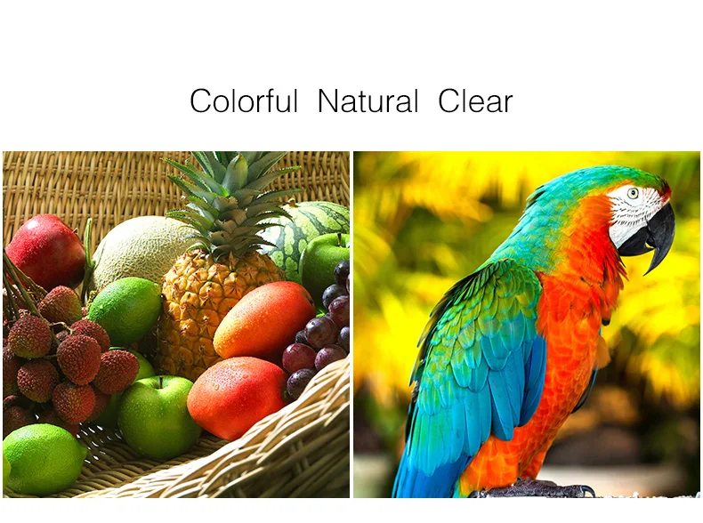 HTB1Yr20eCtYBeNjSspkq6zU8VXa6