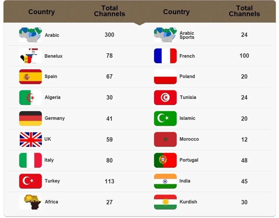 1 год с системой Neo IPTV подписка 1300+ живое французское IP tv для Бельгии, Марокко, Арабский IP tv Франция m3u android smart tv box