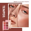 IMAGIC Blush Palette Makeup 6 Colors Professional Cheek Blush Pearl Orange Pigment High Quality Beauty Cosmetic Makeup Blushes 2