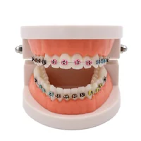 Dental ortodontyczne leczenie Model z Ortho metalowy uchwyt ceramiczny łuk drut tubka dentystyczna podwiązki dentysta narzędzia Lab 3