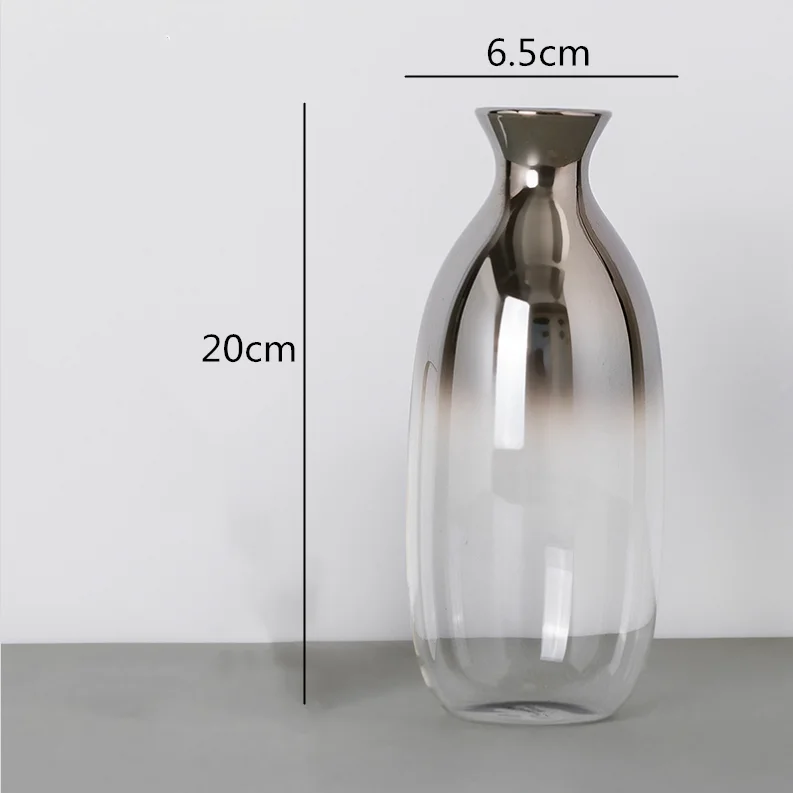 Креативная стеклянная ваза в скандинавском стиле с серебряным градиентом, прозрачная Цветочная композиция, аксессуары для современного дома, настольные украшения, свадебные - Цвет: 20x6.5cm