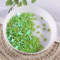 AB Light Green