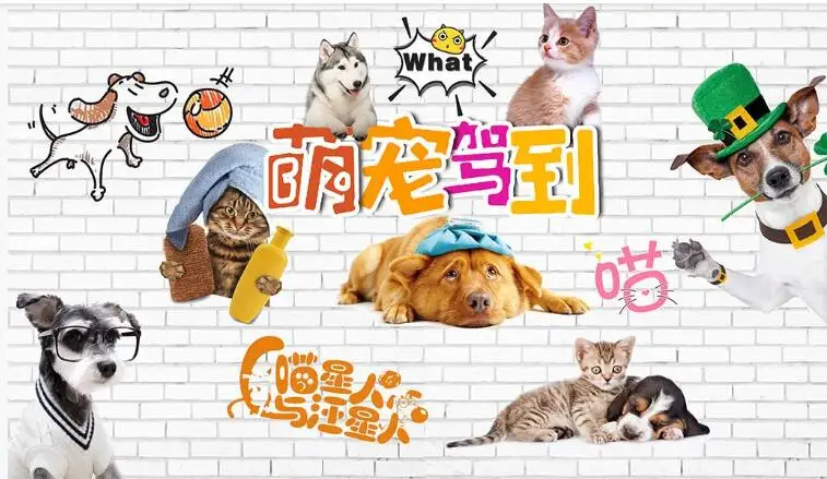 QQ截图20191007094615