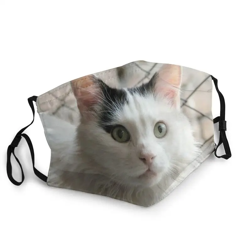 The Turkish Van Mask Anti Dust Non-Disposable Puppy Angora Cat Face Protection Cover Unisex Adult Respirator Mouth Muffle | Аксессуары