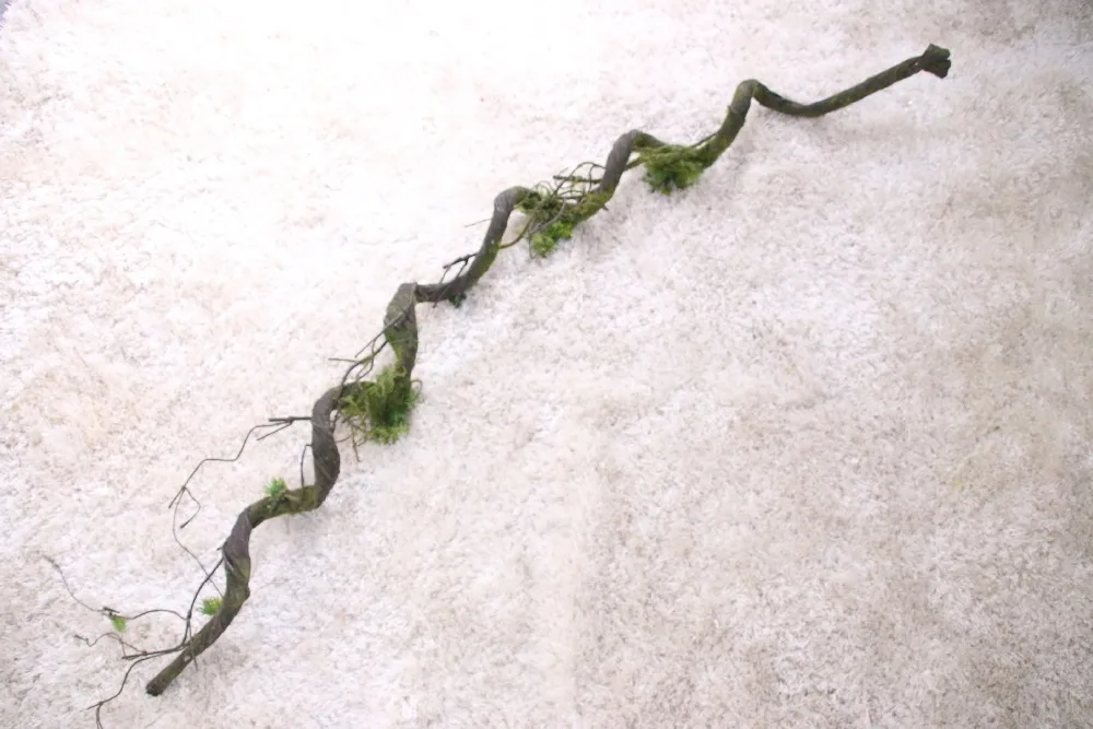 6192111535_1358735368