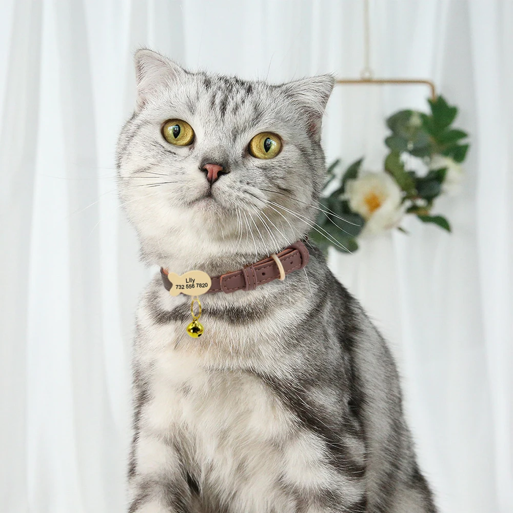 Cute Custom Cat Collar Personalized Cat Collar For Small Dogs Cats Kitten Puppy Nameplate Collars Free Engraving Accessories 4