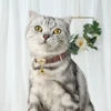Cute Custom Cat Collar Personalized Cat Collar For Small Dogs Cats Kitten Puppy Nameplate Collars Free Engraving Accessories 4