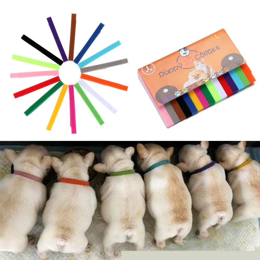 15 unidades de collares de para cachorros recién nacidos y mascotas, collares de terciopelo práctico reutilizable de nailon a bajo precio| | - AliExpress