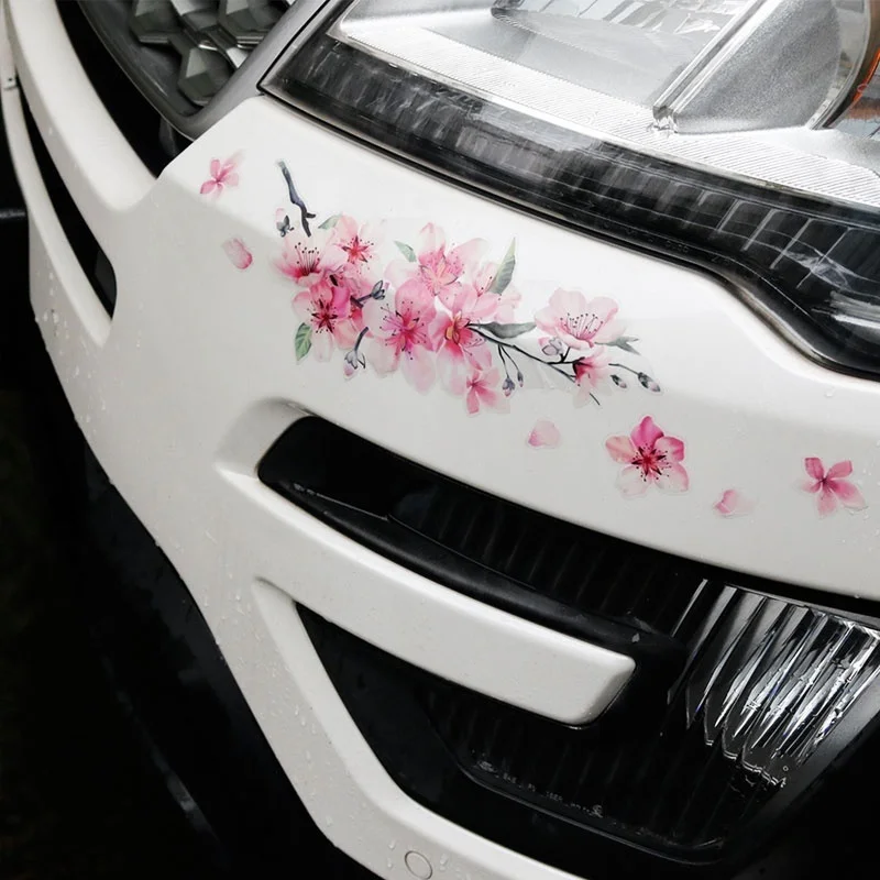 Виниловые наклейки на автомобиль вишневый цвет для женщин |