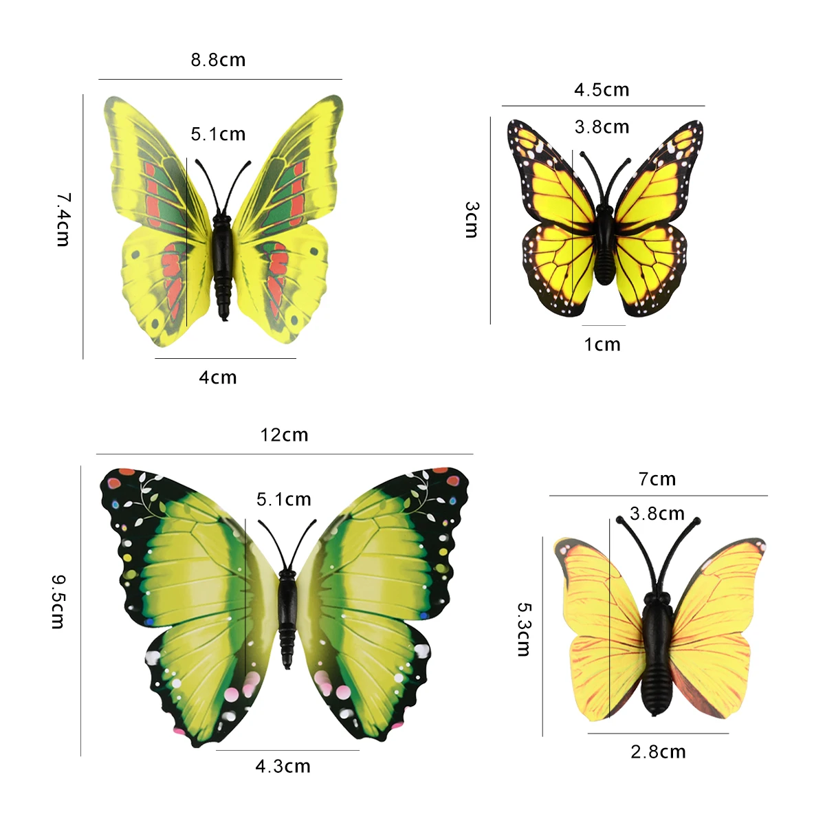 Ипатьевский монастырь коллекция бабочек кострома. Бабочки. Название бабочек. Размеры бабочек. Бабочки на а4.
