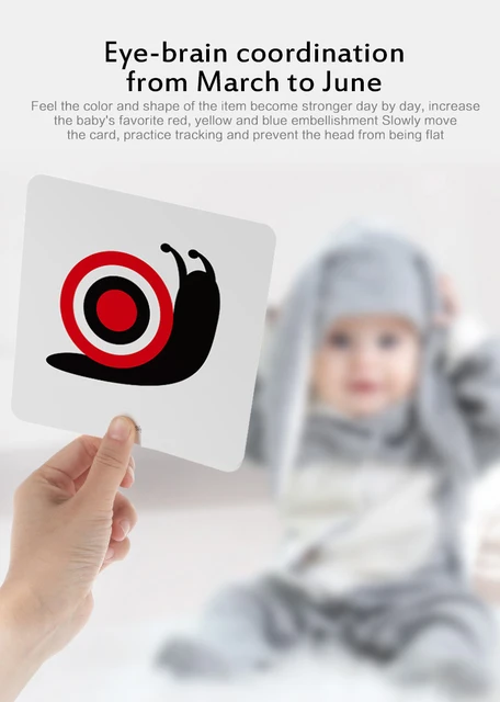 0-36M Baby Early Education Card Black And White Cards  Color Training Visual Stimulation Montessori Shape Animal Cognitive Toys 6
