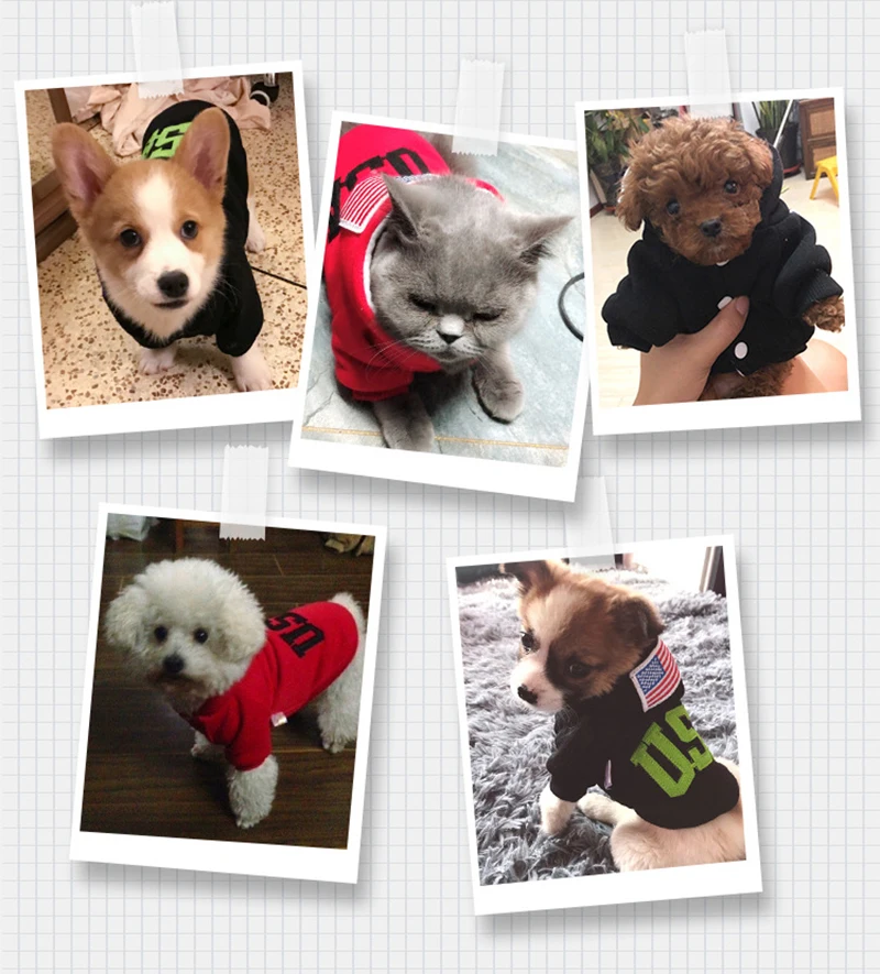 9299444703_1368698927