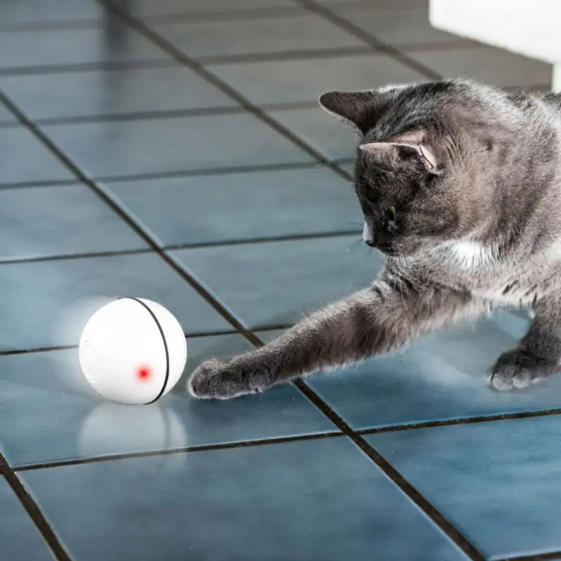 

Pet Cat Toy LED Luminous Ball USB Charging Smart Funny Cats Toys Automatic Rolling Balls