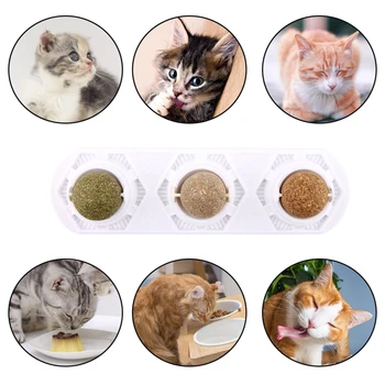 

Kitten Molar Catnip Toy Natural Healthy Pastable Non Toxic Cute Removal Hair Durable Mini Edible Balls With Silvervine Pet Treat
