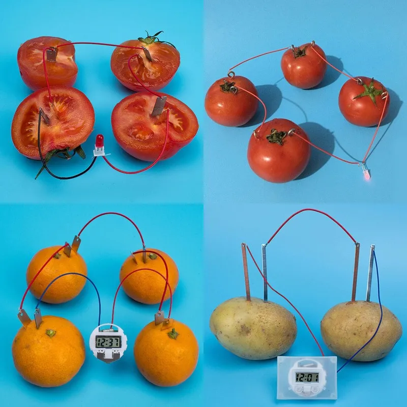 1 Set children bio energy science kit fruit supply electricity experiments to SK