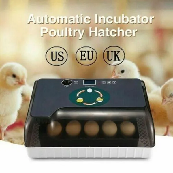 

Egg Incubator Digital Fully Automatic 12 Eggs Poultry Hatcher for Chickens Ducks @LS