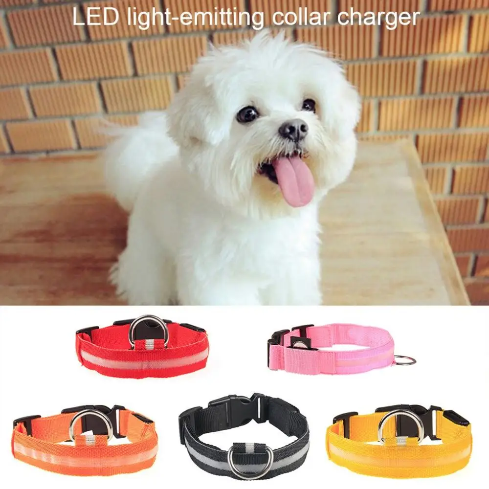 Cool LED Pet Dog Collar Night Safety Flashing Glow In The Dark Dog Leash Dogs Luminous Fluorescent Collars Pet SuppliesV