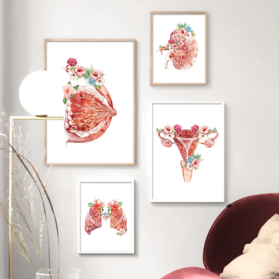 Flower Breast Uterus Kidney Liver Anatomy Wall Art Canvas Painting Nordic Posters And Prints Pictures For Doctors Office | Дом и сад