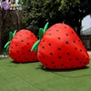 Customized 2.5M Length Inflatable Strawberry Model For Event / Giant fruit Balloons For Yard Decoration - BG-Z0226 2