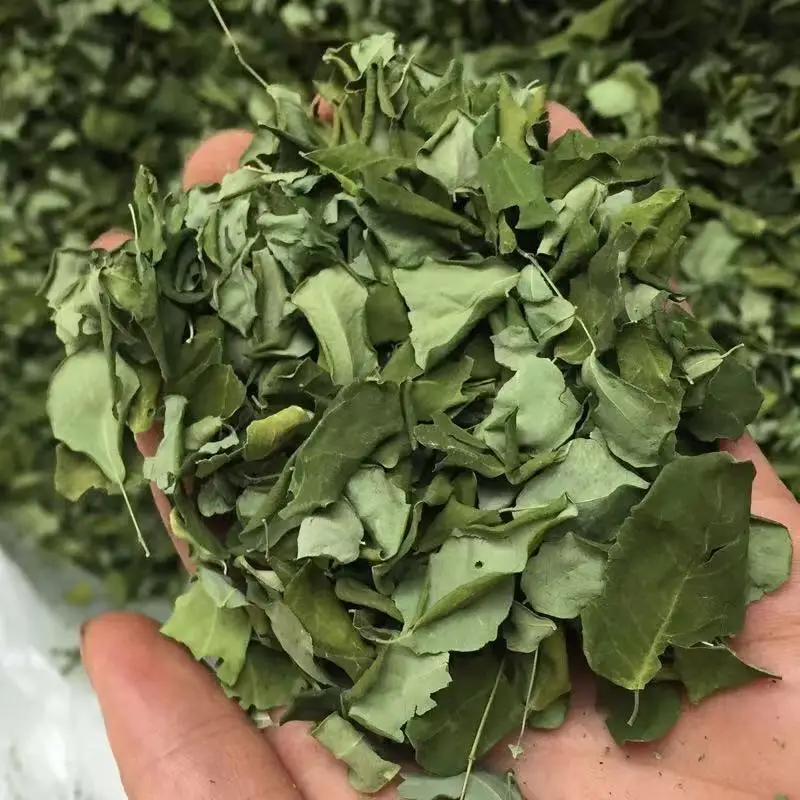 微信图片_201910251209393