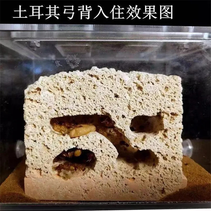 微信图片_20190811095538